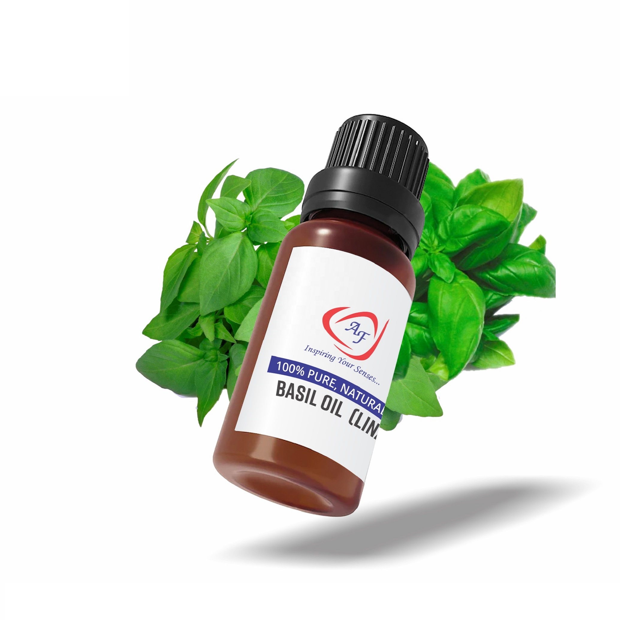 100% Natural Sweet Basil Essential Oil at Low Price
