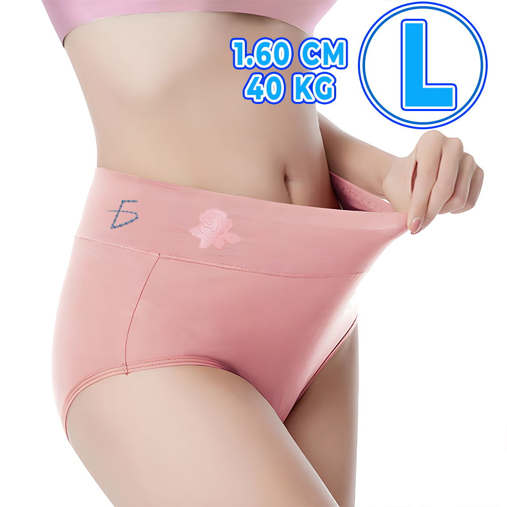 Women's High Waisted Underwear - L