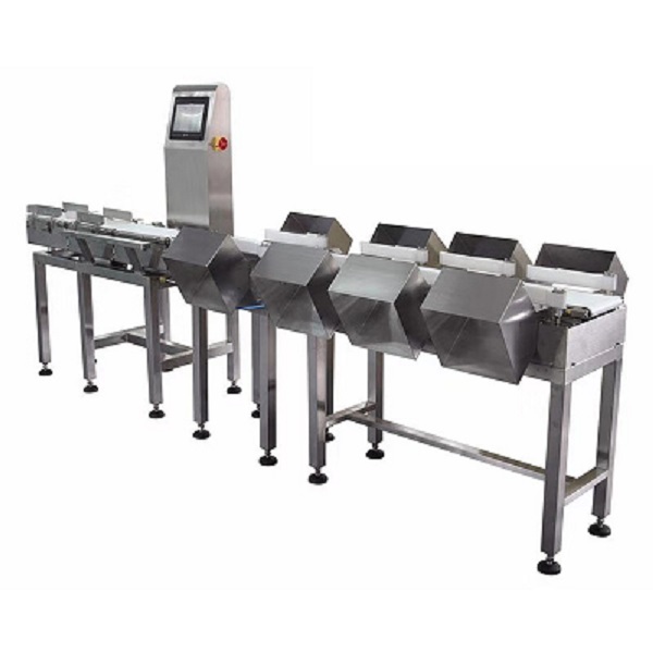 China Supplier Checkweigher Automatic Online High Precision Frame Multi-level Weighing Sorting Machine