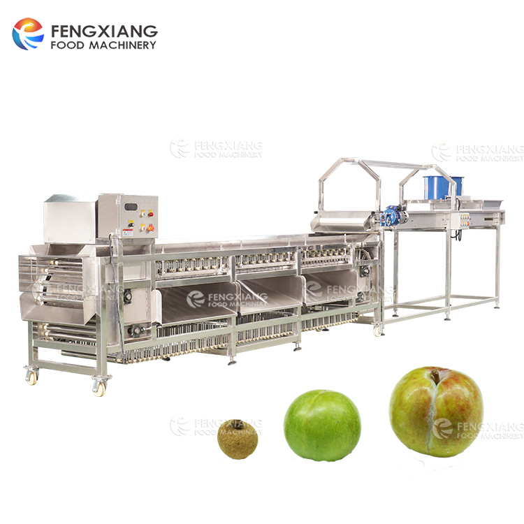 Fruit And Vegetable Sorting Machine Plum Peach Potato Inspection Conveyor Sorting Machine Line
