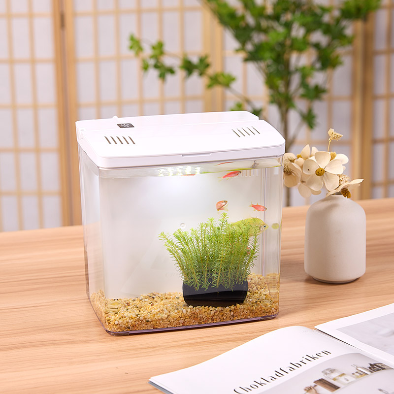 New Arrival Usb Charging Led Light Glass Small Fish Aquarium Fish Tank For Inside Decorations Of Home 