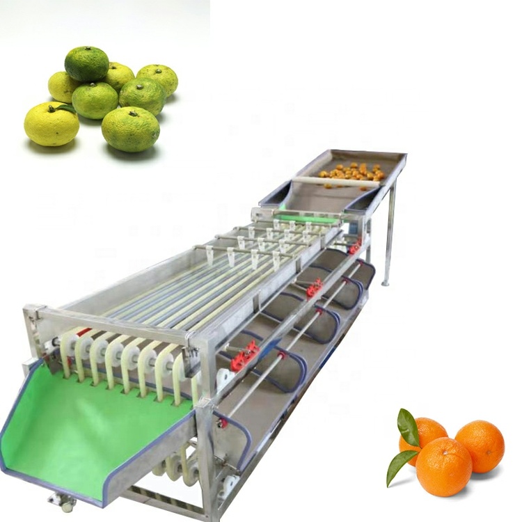 Good Quality Fruit&amp;vegetable Processing Sorting Washing Machine Potato Washing And Grading Sorting Machine 