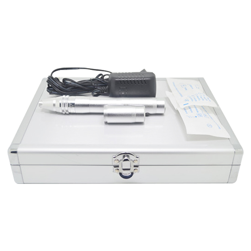 2022 Hot Selling 2pcs Battery Replaced With Aluminum Alloy Case High Quality Derma Skin Microneedling Pen For Salon 
