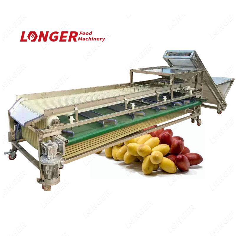 Fruit Processing Machinery Palm Dates Sorting Machinery