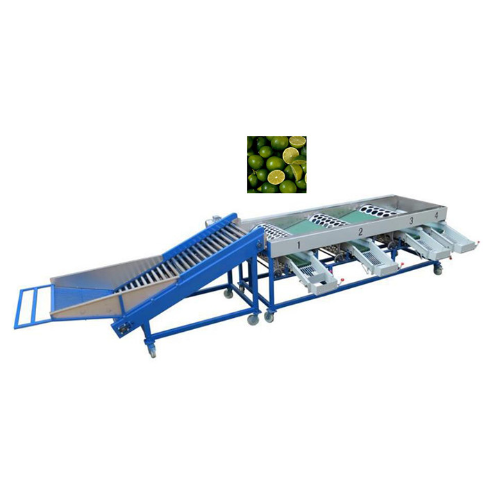 Orange Citrus Fruit Vegetable Sorting Machine 