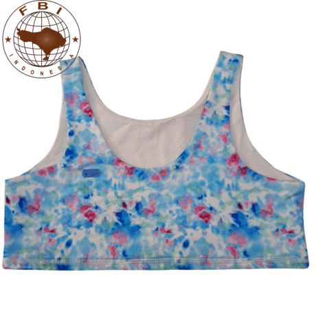 Wholesale Teenage Women's Sports Bras Training Bra Sports Underwear From Indonesia Product USA BRAND