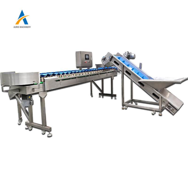 Automatic Fruit Dates Sorting And Grading Machine Custom Scallop Abalone Weight Sorting Machine