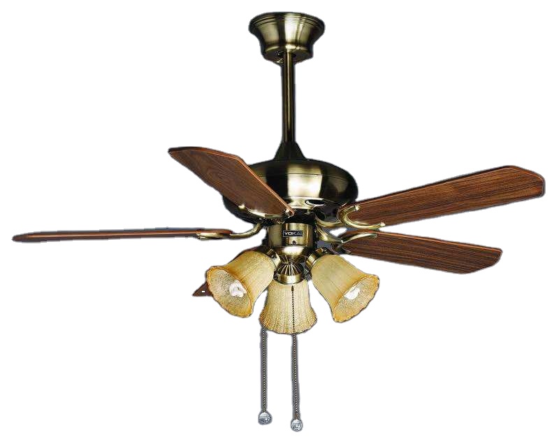 Home Appliances Decorative Electric Led Ceiling Fan Lighting 