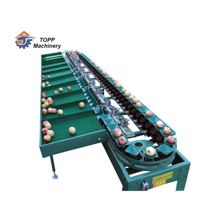 Industrial Apple Grading Sorting Machine Weight Sizer Lemon Grading Machine 
