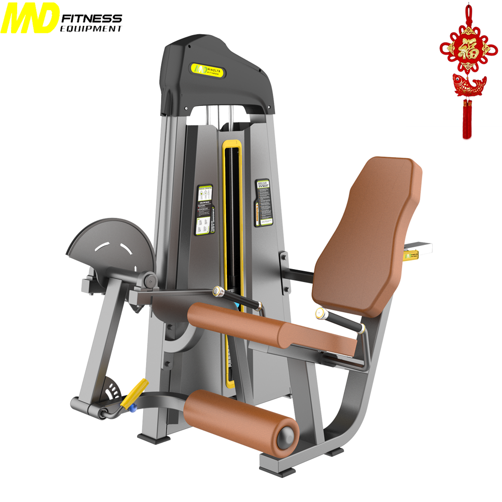 Professional Indoor Sporting Dezhou Luxury Best Machine Fitness Equipment Wholesale Bodybuilding F02 Leg Extension Indoor Sports Equipment 