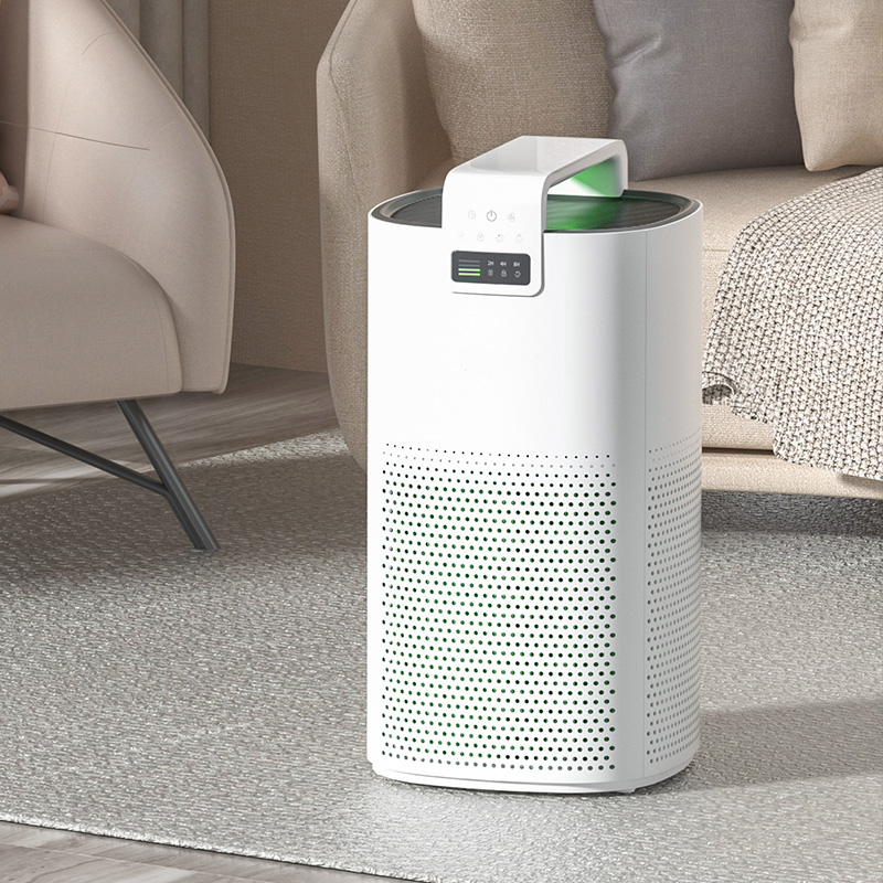 Oem Factory For Pet Home 400sqft Good Quality True Hepa Air Purifier 
