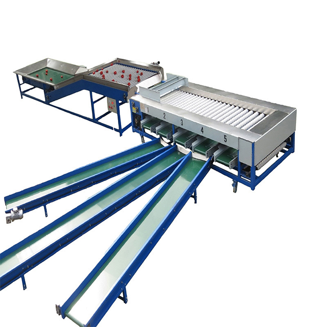 Automatic Fruit Vegetable Grading Machine For Size Sorting