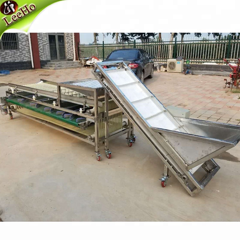 Dates Sorting Machine With Whole Fruit Processing Machinery 
