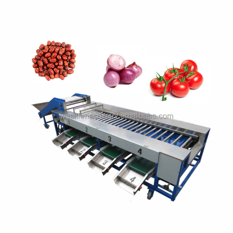Automatic Fruit Vegetable Garlic Carrot Cucumber Grading Machine For Size Sorting