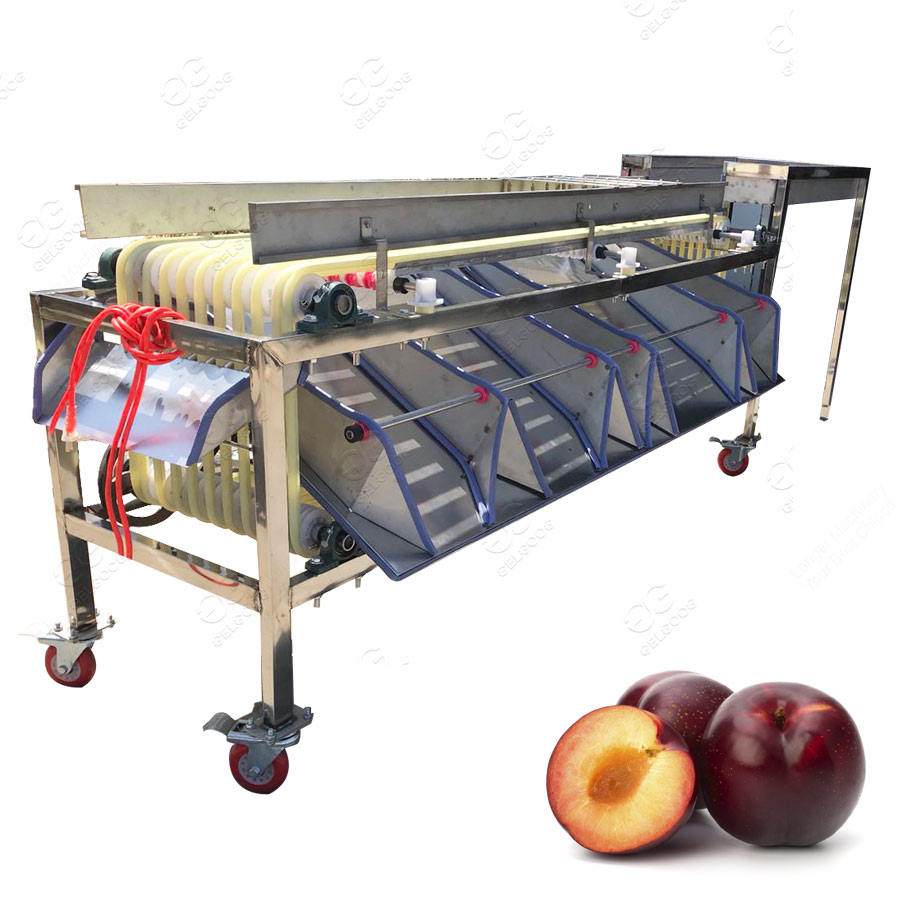 Automatic Apricot Avocado Sorting Machine Grading Machine