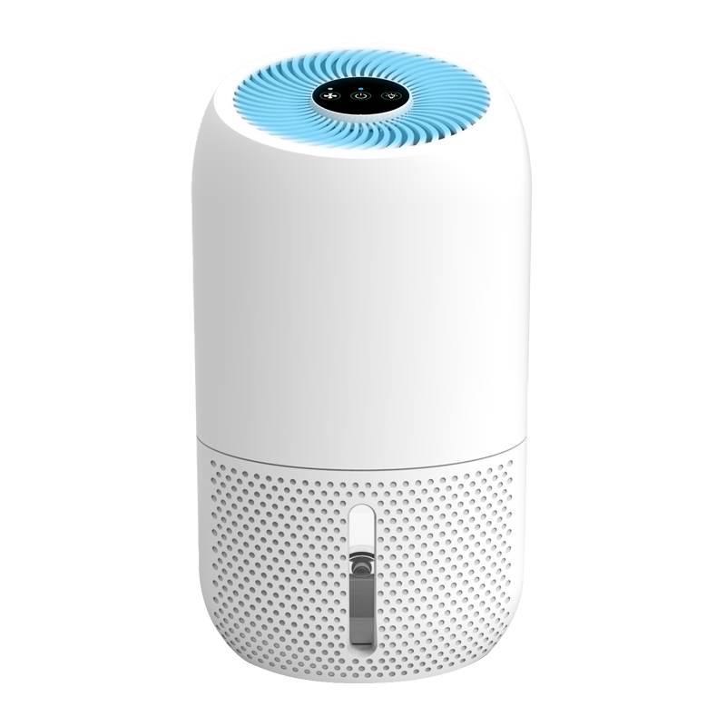 Compact Small Dehumidifier With Air Purifier Home