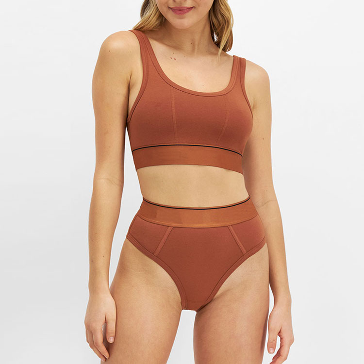 Hot Ladies Brown Seamless Ribbed Bra Set Sexy Plain Hipster Women Nylon Spandex Black Seamless Bra And Thongs Underwear 