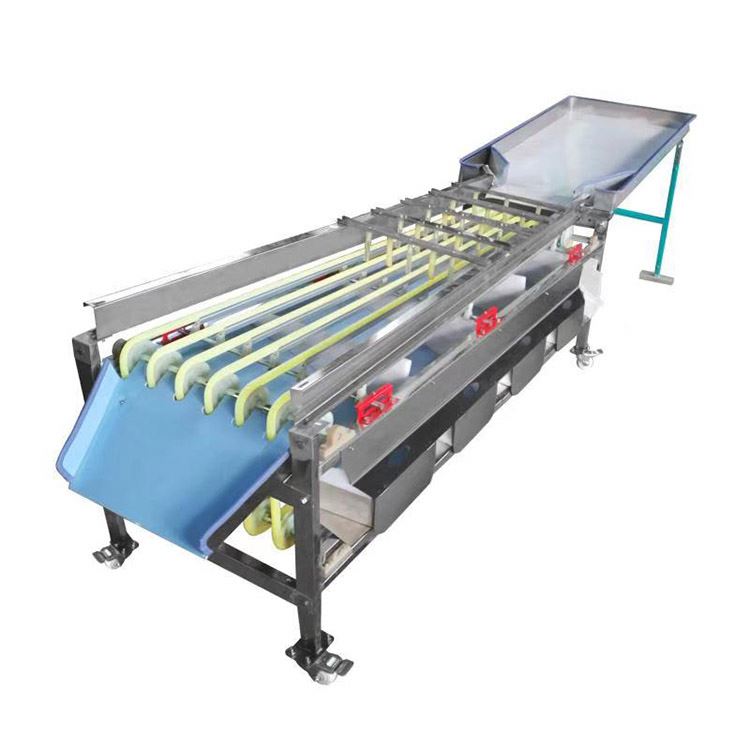 Fruit Sorting Grading Machine Fruit Vegetable Sorting Machine Sorting Fruit Machine