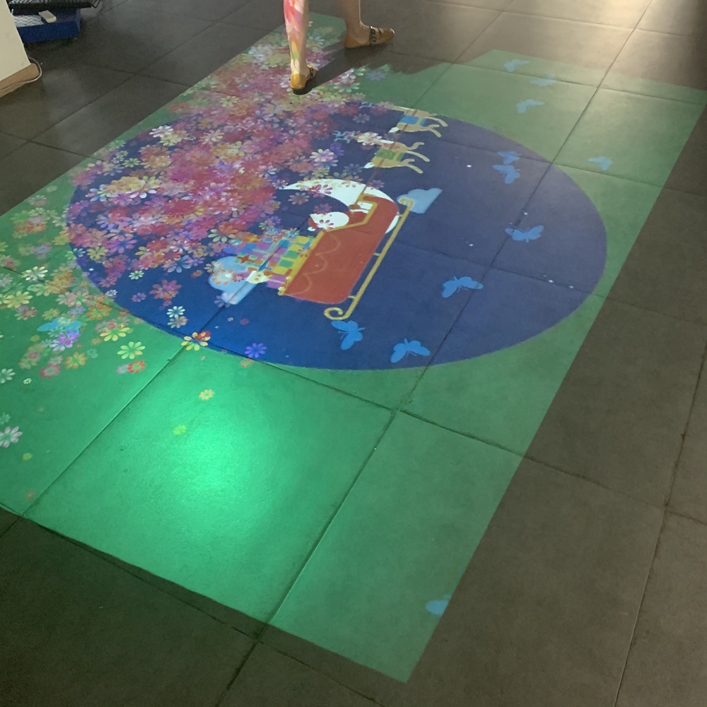 Interactive Floor Hardware And Software Multimedia System Used In Hotel 