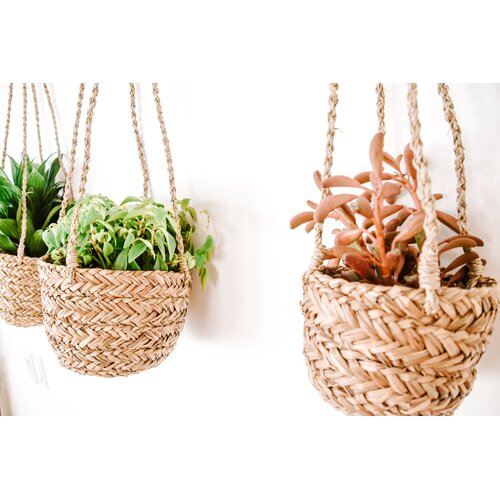 Eco-friendly Seagrass Plant Pot Hanging Basket Cheap Price Popular Natural Handmade In Vietnam Home Garden Decoration Classic 