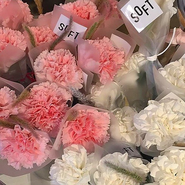 anna's boutique cottage